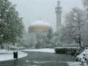 Regent’s Park View of the Mosque