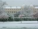 Regent’s Park - view of Nash Terrace